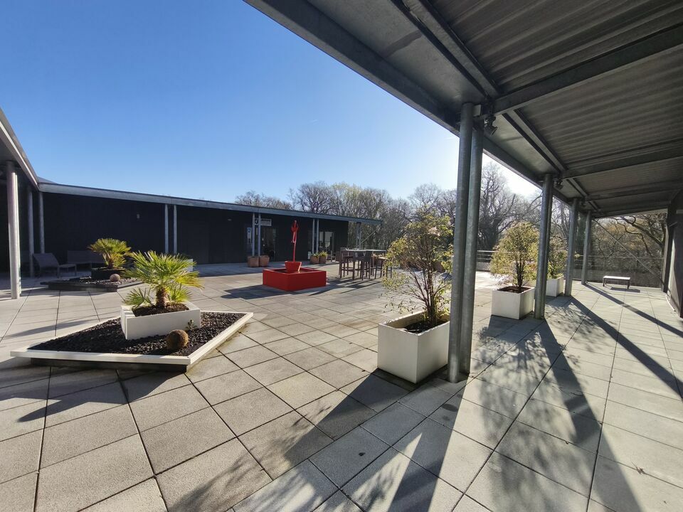 668449740_64_0038_10